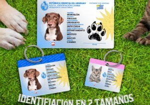 Productos físicos
